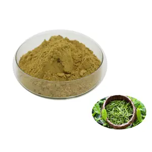 High Quality Green Tea Extract 45% EGCG Powder Green Tea Extract