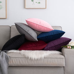 Housse de coussin en <span class=keywords><strong>velours</strong></span> de luxe décoration de <span class=keywords><strong>canapé</strong></span> 18x18 20x20 taie d'oreiller <span class=keywords><strong>velours</strong></span> maison <span class=keywords><strong>canapé</strong></span> doux confortable accepter personnalisé jeter taie d'oreiller - Product Image 4