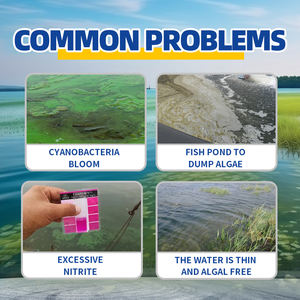 Pond Protect-C avec des acides aminés de qualité alimentaire Restaure la santé de l'eau Gère la croissance des algues Assure une écosystème d'étang équilibré - Product Image 5