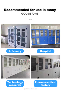 Gabinete de Almacenamiento de Ácidos Metálico de Diseño Moderno para Escuelas, Hospitales, Laboratorios de Física y Laboratorios - Product Image 6