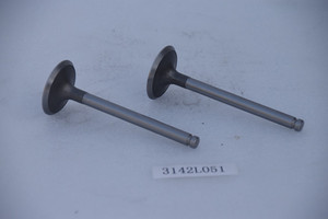 3142L051วาล์วทางเข้าสำหรับเครื่องยนต์เพอร์กินส์1004 <span class=keywords><strong>1006</strong></span> 4.41สำหรับรถแทรกเตอร์แมสซีย์เฟอร์กูสัน396 399อะไหล่เครื่องยนต์ดีเซล - Product Image 3
