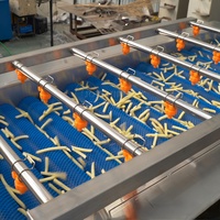 Hoge Kwaliteit Fabrieksprijs Kleinschalige Semi-Automatische Productielijn Bevroren Frietmachines