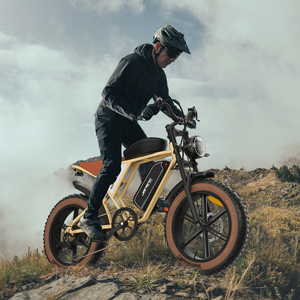 Bicicleta Eléctrica de Montaña Jansno X70 de 20 Pulgadas para Adultos, Batería Doble de 48v 34ah, Motor de 750w, Bicicleta Eléctrica para Nieve Jn-x70 - Product Image 4