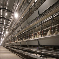 Cage de couveuse Durable et entièrement automatique à plusieurs niveaux de Type H pour la pose de la couche de croissance