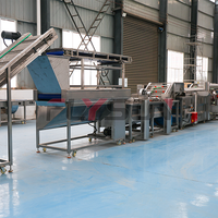 Industriële continue frituurlijn met gas- of elektrische verwarming voor de productie van frieten, inclusief automatische oliefilter.