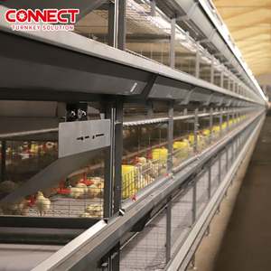 Ticari kullanım Pondeuse horoz horoz tavuklar kafesleri kanatlı tavuk tarım ev besleme makinesi katmanlı üreme kafesi sistemi - Product Image 1
