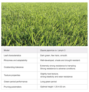 Césped Natural Premium, Duradero y Suave, Certificado por FIFA, para Cancha de Fútbol Interior/Exterior con Servicio de Mantenimiento - Product Image 6