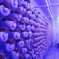 Conteneur de culture de champignons intelligent à climat contrôlé Plante hydroponique économique Agriculture Film plastique acier PE Salle de culture