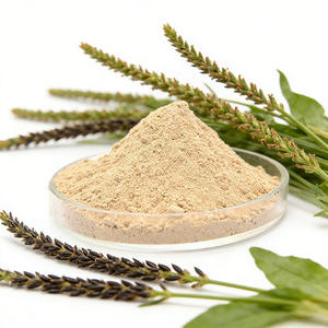 पाचन समर्थन के लिए कार्बनिक पेठक पाउडर 99% पाचन समर्थन के लिए वैक्यूम पैक कॉस्मेटिक ग्रेड कस्टम पैकेजिंग उपलब्ध - Product Image 6