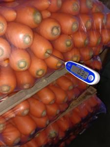 Yeni mahsul temiz havuç büyük boy taze havuç 50lbs/plastik torba çin'den - Product Image 3