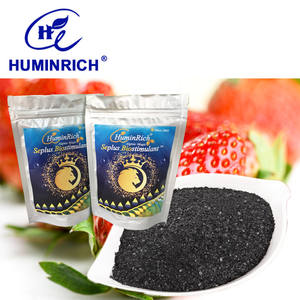 خلاصة الأعشاب البحرية العضوية بحمض الألجنيك العالي للتربة والاستخدام الورقي - Product Image 5