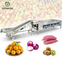 Machine de lavage, cirage, calibrage et tri industrielle Dragon Areca pour fruits secs, pêches, olives, noix et oranges