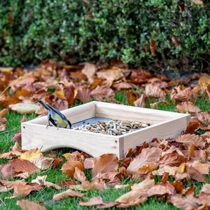 FSC Audited Outdoor <strong>Wild</strong> <strong>Bird</strong> House and Feeder, Wooden <strong>Bird</strong> Feeder on Grassland - Product Image 2