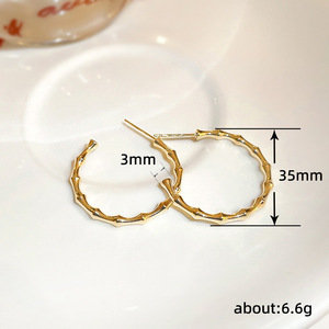 Orecchini a Cerchio in Bambù Audaci per Donne, Orecchini Metallici di Tendenza in Stile Coreano, Regalo - Product Image 5