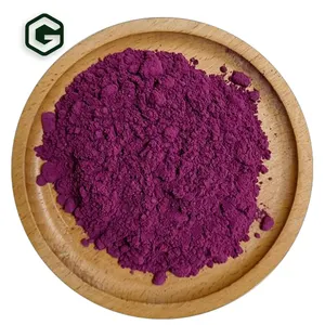 Wholesales 100% Organic Anthocyanidins 25% Brazilian Acai Berry Fruit Extract Powder Acai Berry Powder