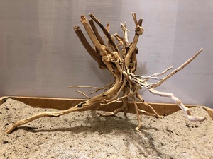 10-20cm Natural Requintado Madeira Deriva-Madeira Ramos Aquário Deriva Madeira Aquário Aquário Natural <span class=keywords><strong>Driftwood</strong></span> - Product Image 5