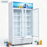 Réfrigérateur à boissons moderne avec porte en verre, vitrine verticale pour boissons avec éclairage LED pour centre commercial, commerce de détail, aire de restauration, stockage