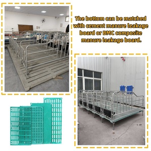 Nueva pluma de gestación de cerdas galvanizada con comedero, casa de cerdos, corrales de gestación de cerdas, cajas para cerdos - Product Image 5