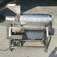 RVS grote capaciteit fruit- en groentepulper, sapcentrifuge, extractor machine