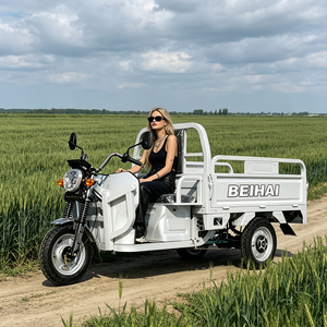 Scooter Eléctrico de Tres Ruedas BEIHAI 2026, Mini Scooter Económico de 60V 2000W, Triciclo de Pasajeros de 3 Ruedas para Adultos - Product Image 2
