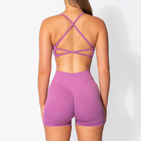Nouveaux vêtements de sport de haute qualité pour femmes sans coutures Contour Fitness Gym Yoga Scrunch Nylon Shorts d'entraînement personnalisés