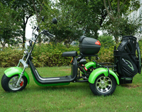 Tricycle électrique de golf 3 roues pour le marché australien, avec pneus larges, GPS, pliable, étanche, longue autonomie, type Citycoco