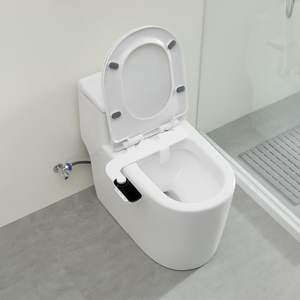 Vente en gros : Douchette WC intelligente réglable pour salle de bain, double buse non ultra-mince - Product Image 4