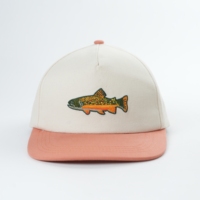 Premium Op Maat Gemaakte Katoenen Baseballpet Geborduurd Logo Voor Dames En Heren Dot En Argyle Patroon Dobby Stijl Oxford Stof Hoed