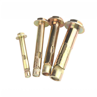 Slotted Sleeve Structure Expansion Bolt Sleeve Anchor 10mm Diameter Electro Galvanized 8.8 Grade for Concrete Wall Column Floor