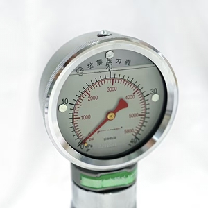 Manómetro de Presión Antivibración de Alta Resistencia YK-100 de Calidad Premium para Perforación Petrolera y Cementación de Pozos - Product Image 2