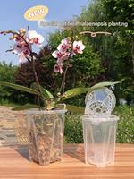 Pot à orchidées transparent en plastique épais de 3,5 à 7 pouces, directement de l'usine, avec trou de drainage respirant pour la plantation à la maison et au jardin