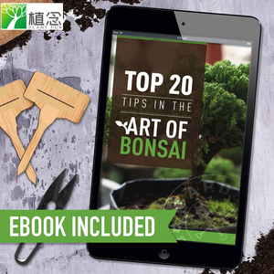 <span class=keywords><strong>Kit</strong></span> de iniciación de irthday, 2023 - Product Image 6