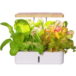 Mini Kit intelligente per il giardinaggio domestico intelligente macchina idroponica per la coltivazione di pomodori vegetali alla fragola realizzati in plastica resistente