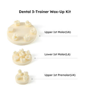 Yeso Dental/Material de resina Modelo de práctica de morfología dental Prueba de estudiante Modelo de práctica de cera por goteo - Product Image 3
