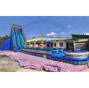 สไลเดอร์น้ำเป่าลมขนาดใหญ่ 40 ฟุต สำหรับ<span class=keywords><strong>ขาย</strong></span>เชิงพาณิชย์ - Product Image 1