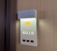 Signalétique de porte LED moderne et personnalisée avec numéros en braille pour hôtels, appartements, maisons d'hôtes, suites - Fixation murale durable