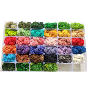 มอสกวางเรนเดียร์แห้งที่มีเสถียรภาพมอสธรรมชาติสีเขียวธรรมชาติที่แท้จริงสำหรับการตกแต่งผนังสำหรับวันอีสเตอร์วันอีสเตอร์ที่สำเร็จการศึกษา - Product Image 1