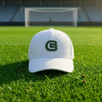 Gorras de Béisbol Personalizadas con Logotipo, 100% Algodón, Bordado 3D, Visera Curva, 6 Paneles, Gorra de Estilo Dad Hat, Venta al Por Mayor, Ajustables, Deportivas para Adultos