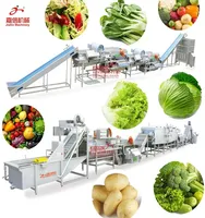 Ligne de traitement des denrées alimentaires des produits alimentaires de boisson de raisin sec de rendement élevé pour l'usine de nourriture et de boisson