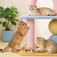 Perchoir à gratter pour chat en bois massif à 2 niveaux, style Macaron, écologique, de haute qualité, avec jouet interactif à balle, design élégant