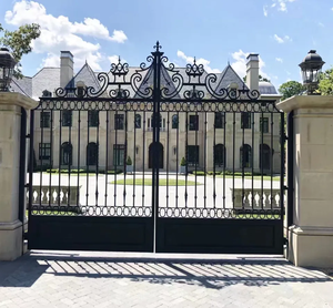 ACE Cổng Nhà Chính Thiết Kế Hàng Rào Sơn Cửa Ra Vào Bằng Sắt Rèn Tự Động - Product Image 5