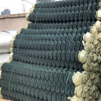 Vente en gros de clôture à mailles de chaîne en fil cyclone enduit de PVC aux Philippines