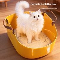Grande litière pour chat pliable et portable, imperméable, avec sac de rangement pour voiture et utilisation en extérieur, 5 kg, légère