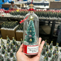 Bouteille à message enregistrable pour Noël, 30 secondes, en verre transparent avec dôme