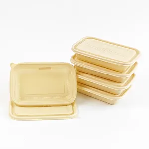 Biodegradable 16oz 500ml Eco-friendly 1 2 3 Compartments Cornstarch Food Storage Container Portable Lunch Box For Take Out
