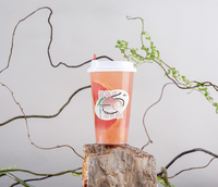 Sirop concentré de jus de pêche de 2,5 kg en bouteille, sucré et délicieux, saveur riche, couleur rose pour le bubble tea