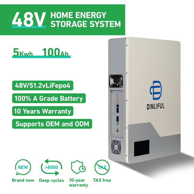 51.2V Photovoltaic Solar Energy Storage Wall-Mounted Built-in BMS 100AH 5KW Home Energy Storage Lithium Iron Phosphate Battery