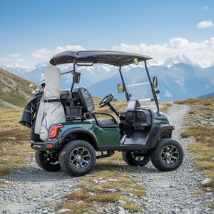 Bestselling Products Best-selling Supply Residential Villa & Resort Battery Driven <b>2</b> <b>Passenger</b> <b>2</b>-seat Golf Buggy - Product Image 1