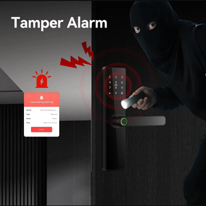 Glomarket Tuya WiFi Waterproof Fingerprint Intelligent Indoor Wooden Door Lock Password Card APP Control Suitable for Home - Product Image 3