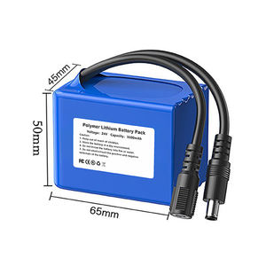 24V 3000mAh 锂离子聚合物电池组，带直流电缆 - 小型家电的高效率选择 - Product Image 2